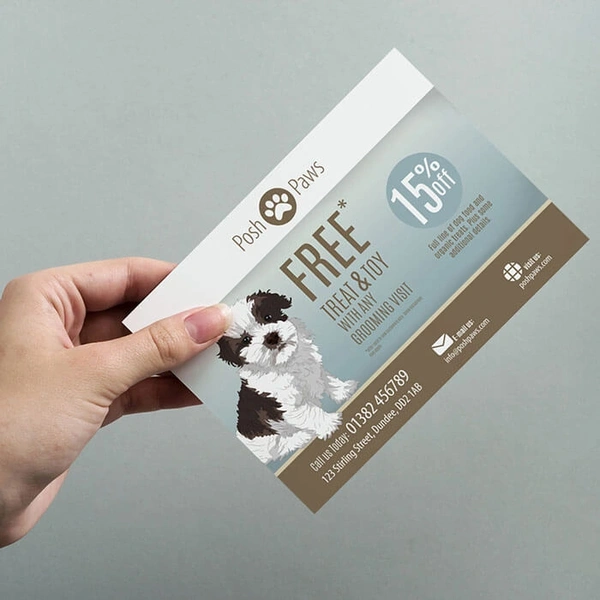 A6 Flyer